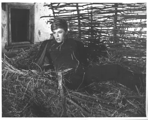 Фильм 43362 — кадр 7
