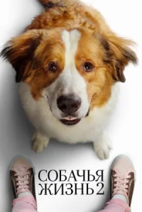Собачья жизнь 2 онлайн бесплатно