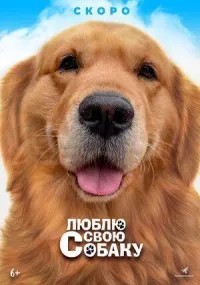 Мой пёс Руни онлайн бесплатно